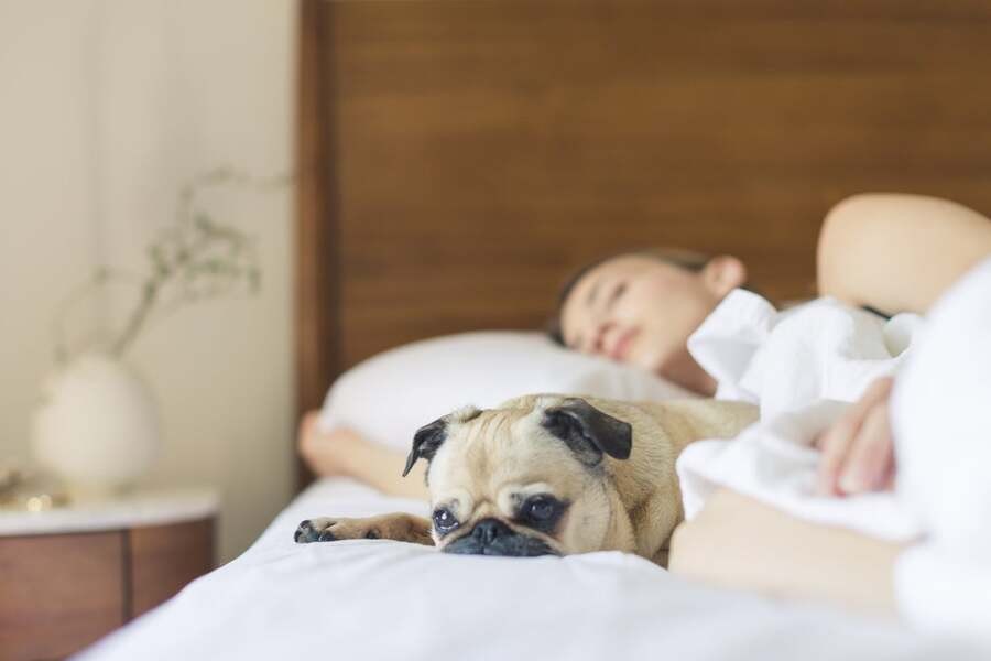 A woman is soundly asleep with her dog beside her.